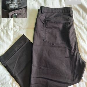 Addition Elle Capri 16